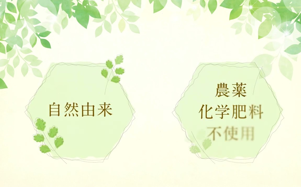 商品紹介